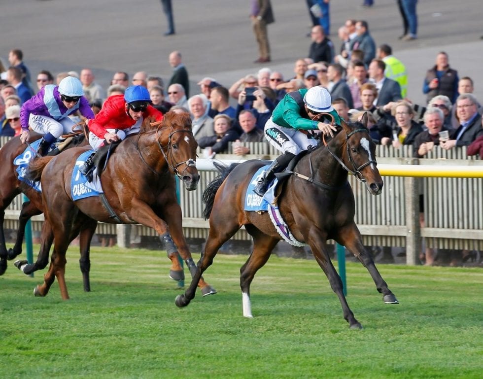 Limato Wins Group 3 Criterion Stakes - Peter & Ross Doyle Bloodstock