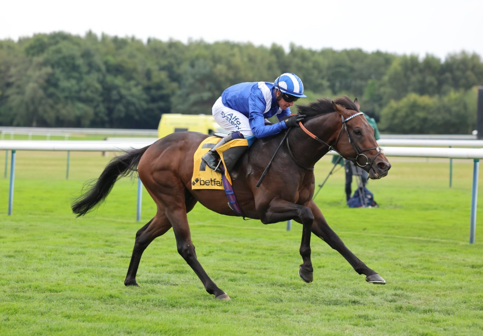 Minzaal lands the Group 1 Betfair Sprint Cup Stakes... - Peter & Ross ...