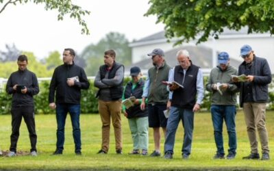 Great couple of days at Tattersalls Ireland Derby Sale…
