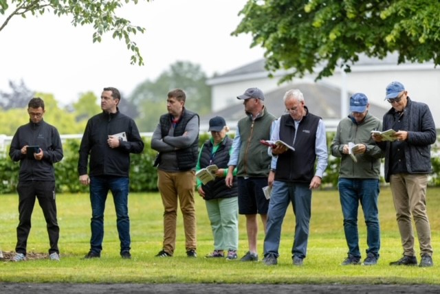 Great couple of days at Tattersalls Ireland Derby Sale…